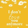 I Don't Love You Anymore